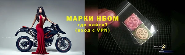 шишки Гусев