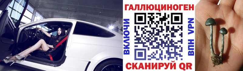 Псилоцибиновые грибы Magic Shrooms Красный Кут
