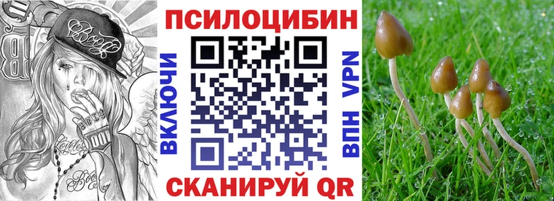 Галлюциногенные грибы мицелий  как найти   Красный Кут 